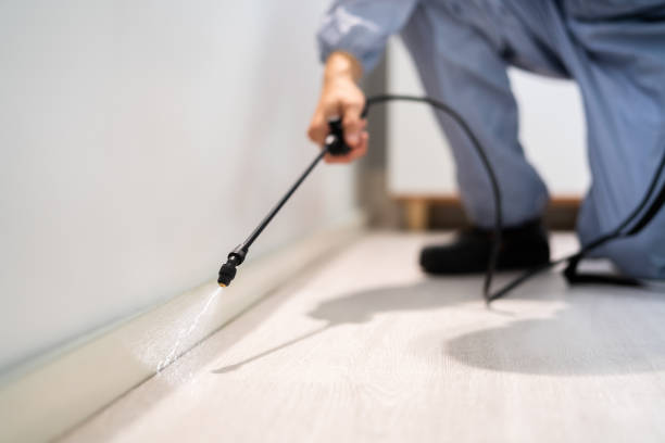 Licensed Pest Control service in Dearborn, MI - Show Me Pest Control