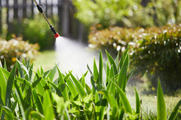 24/7 Emergency Mosquito Control experts in Dearborn, MI