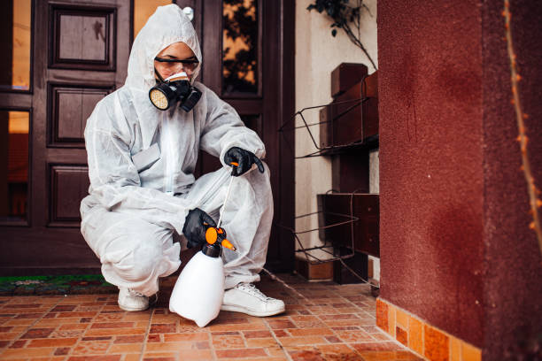 Reliable Mosquito Control contractor in Dearborn, MI by Show Me Pest Control